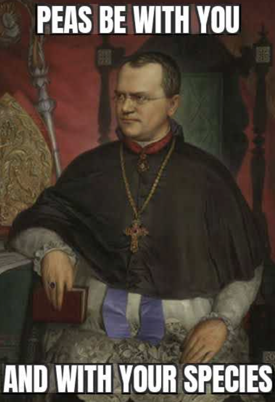 <p>Gregor Mendel</p>