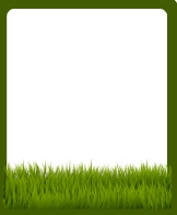 <p>A green plant that covers the ground.</p>
