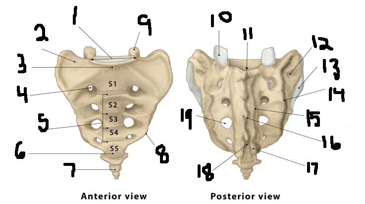<p>10</p>