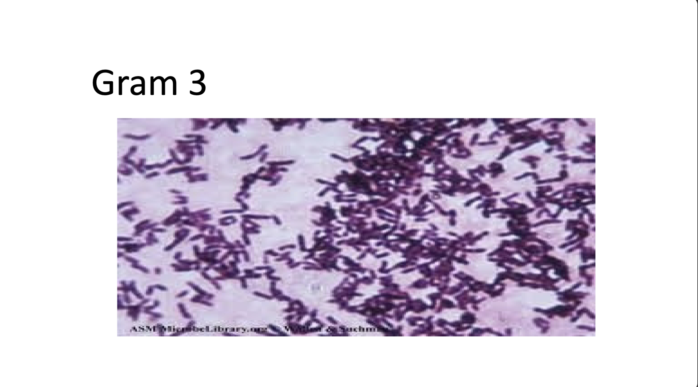 <p>positive/negative and morphology</p>