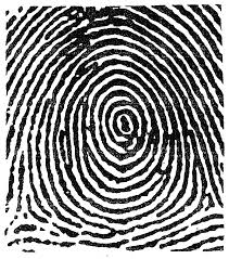 <p>What type of fingerprint is this?</p>