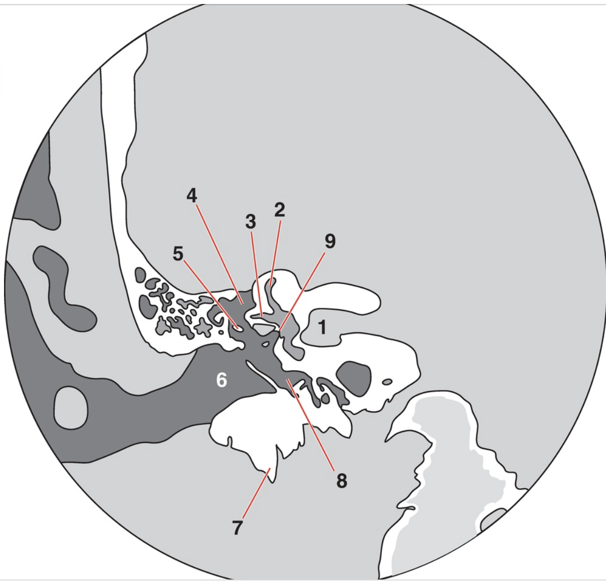 <p>2</p>