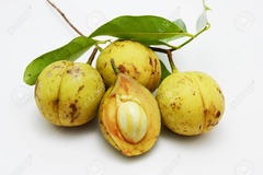 <p>/peɪl ˈjel.əʊ peə ʃeɪpt fruːts/ quả màu vàng nhạt, hình quả lê</p>