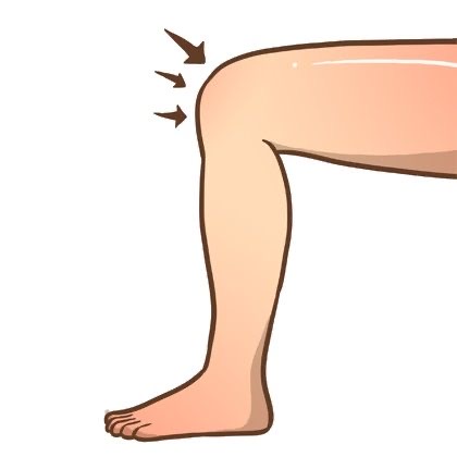 <p>the knee </p>