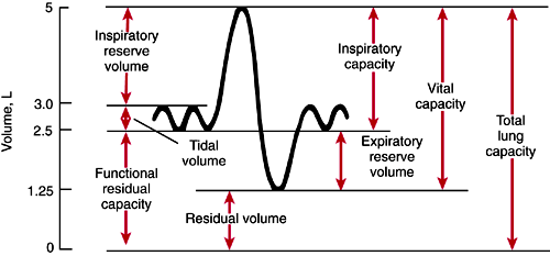 <p>Tool used to measure lung volume, a graph produced depicting volume of air breathed in and out. </p>