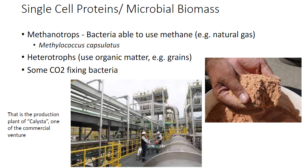 <p><strong>Methanotrophs</strong><br>  • <strong>Bacteria able to use methane</strong> → e.g. <strong>natural gas</strong><br>  • Example → <strong>Methylococcus capsulatus</strong></p><p><strong>Heterotrophs</strong><br>  • Microorganisms that use <strong>organic matter</strong> as a source → e.g. <strong>grains</strong></p><p><strong>CO₂-Fixing Bacteria</strong><br>  • Some bacteria are able to <strong>fix CO₂</strong></p>