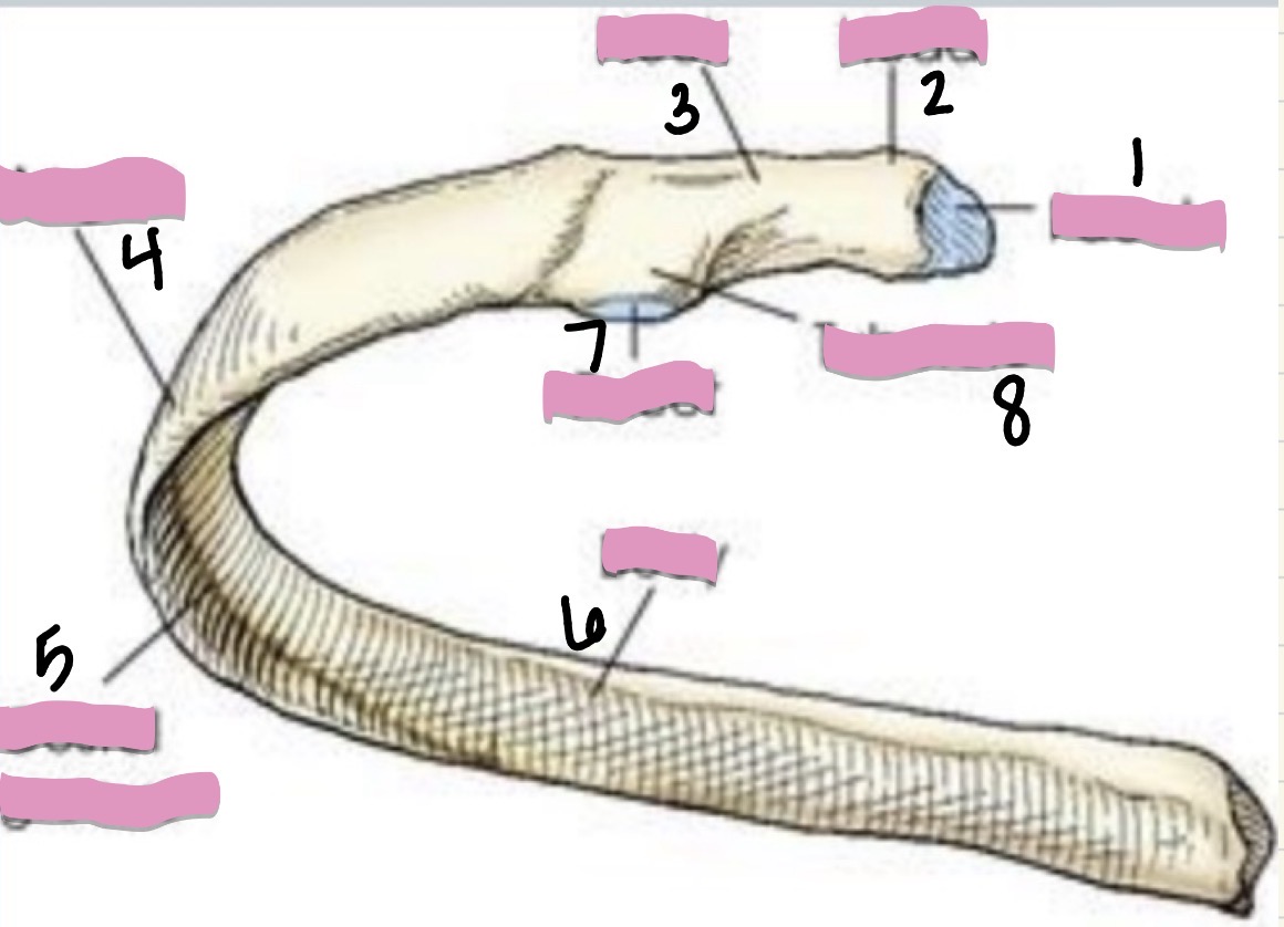 <p>what is 1?</p>