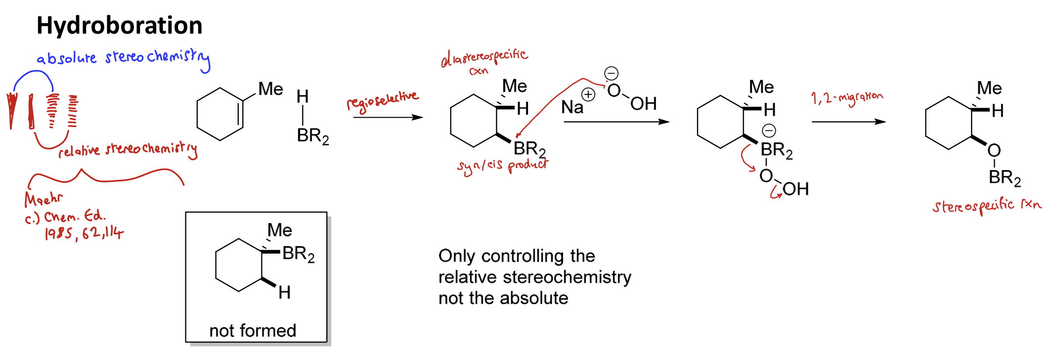 <p>Dia<strong>stereospecific</strong></p><p><span>HBR₂ will always add H to the more substituted end of the alkene and BR₂ to the less substituted end</span></p>