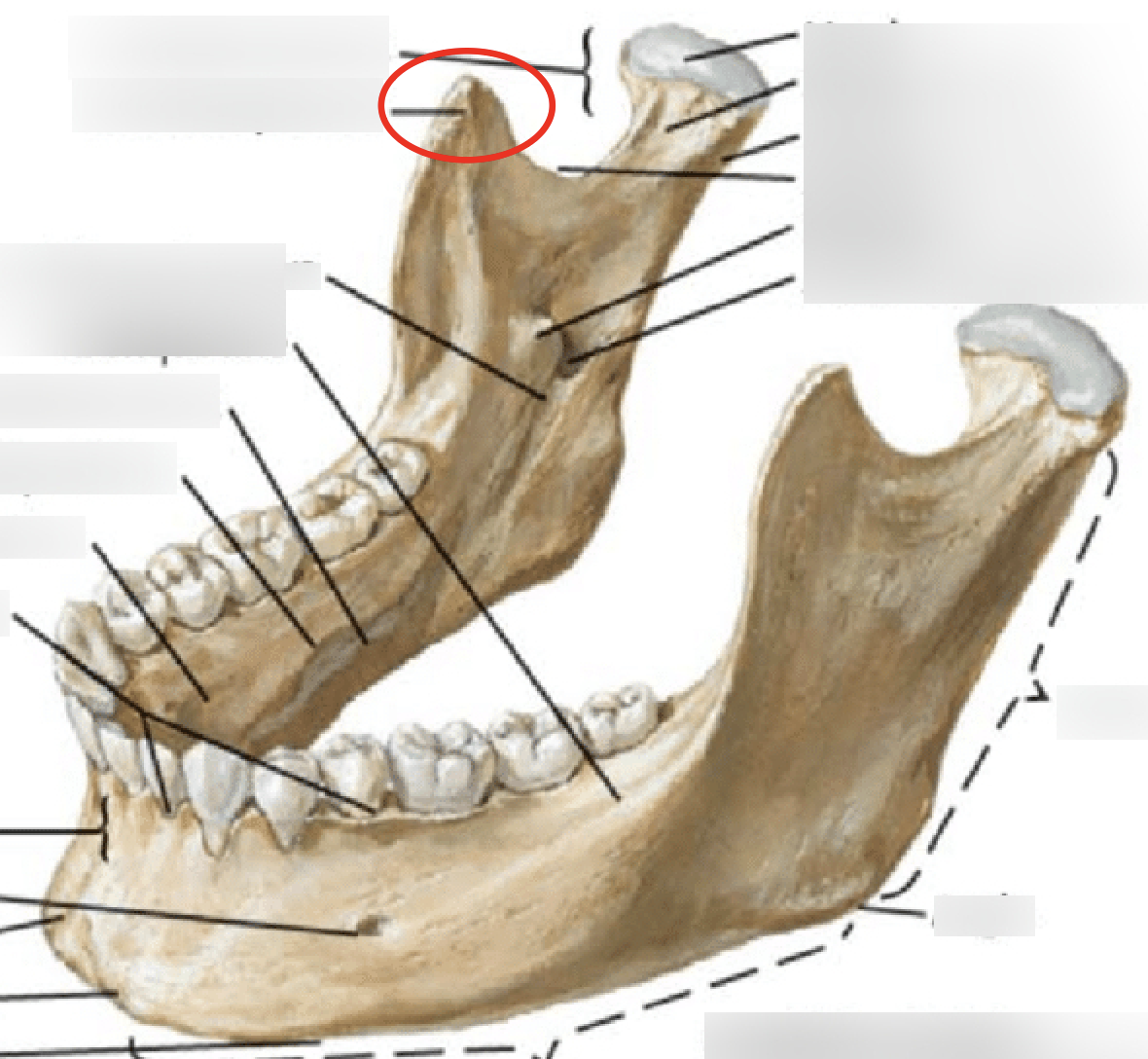 <p>What is this structure?</p>