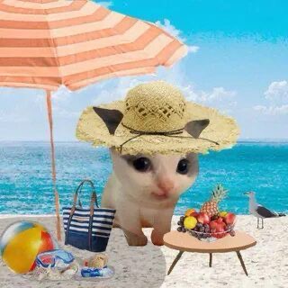 <p>Er genießt seinen Urlaub </p>
