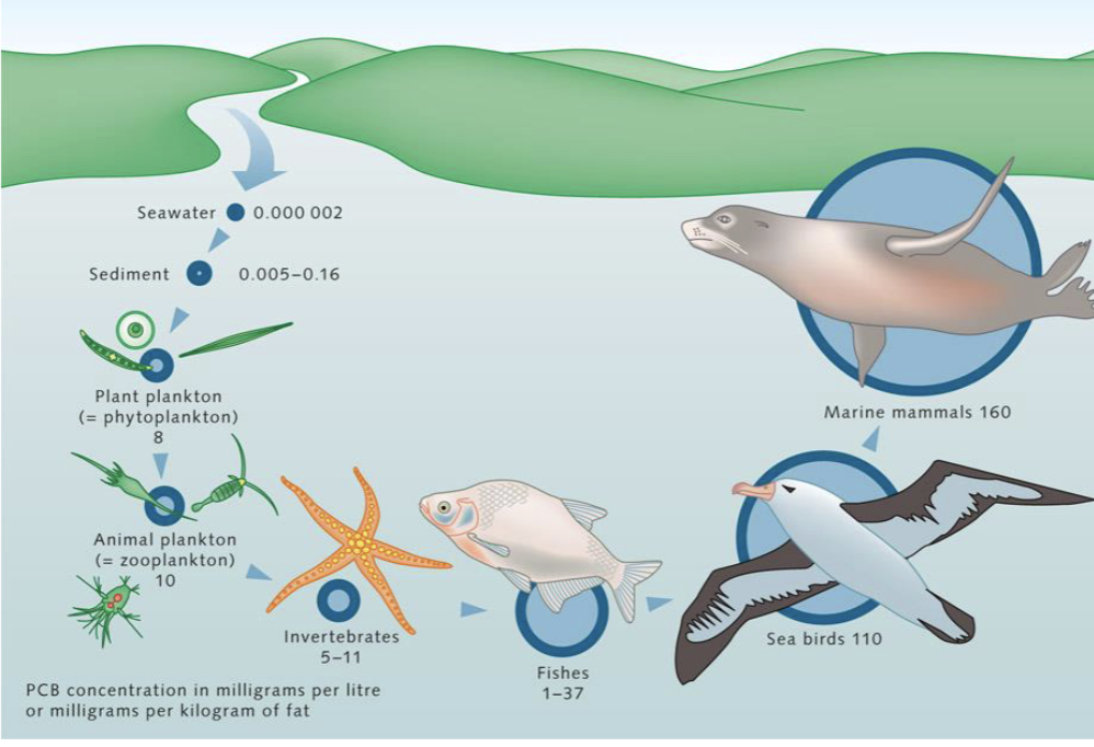 <p>Pass down in the food chain (e.g. PCB conc.)</p>