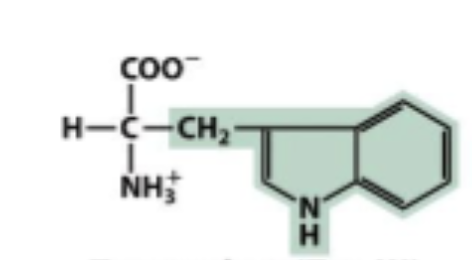 <p>Hydrophobic</p>