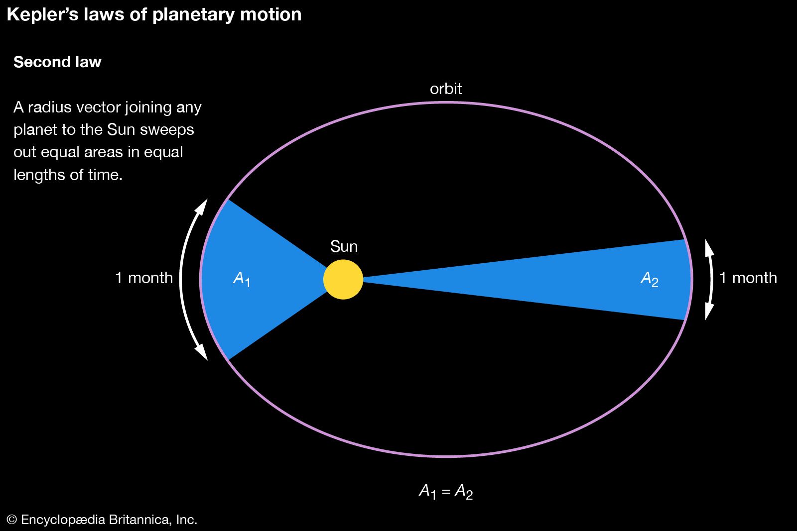 <p>a radius vector joining any planet to the sun sweeps out equal areas in equal lengths of time as the closer a planet the faster it moves and vice versa </p>