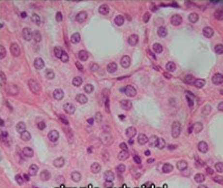 <p>what is this </p>