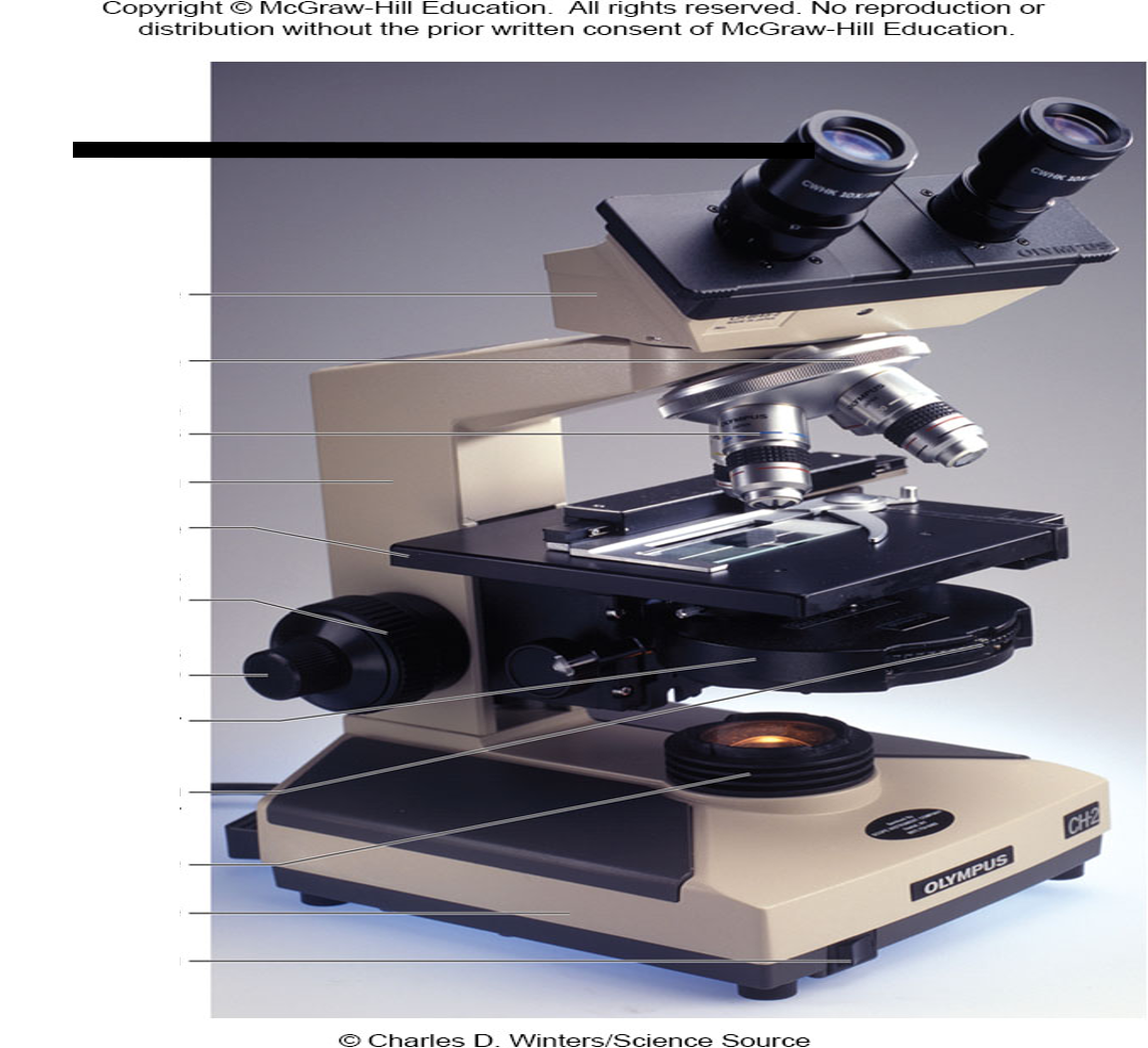 <p>What part of the microscope is the following?</p>