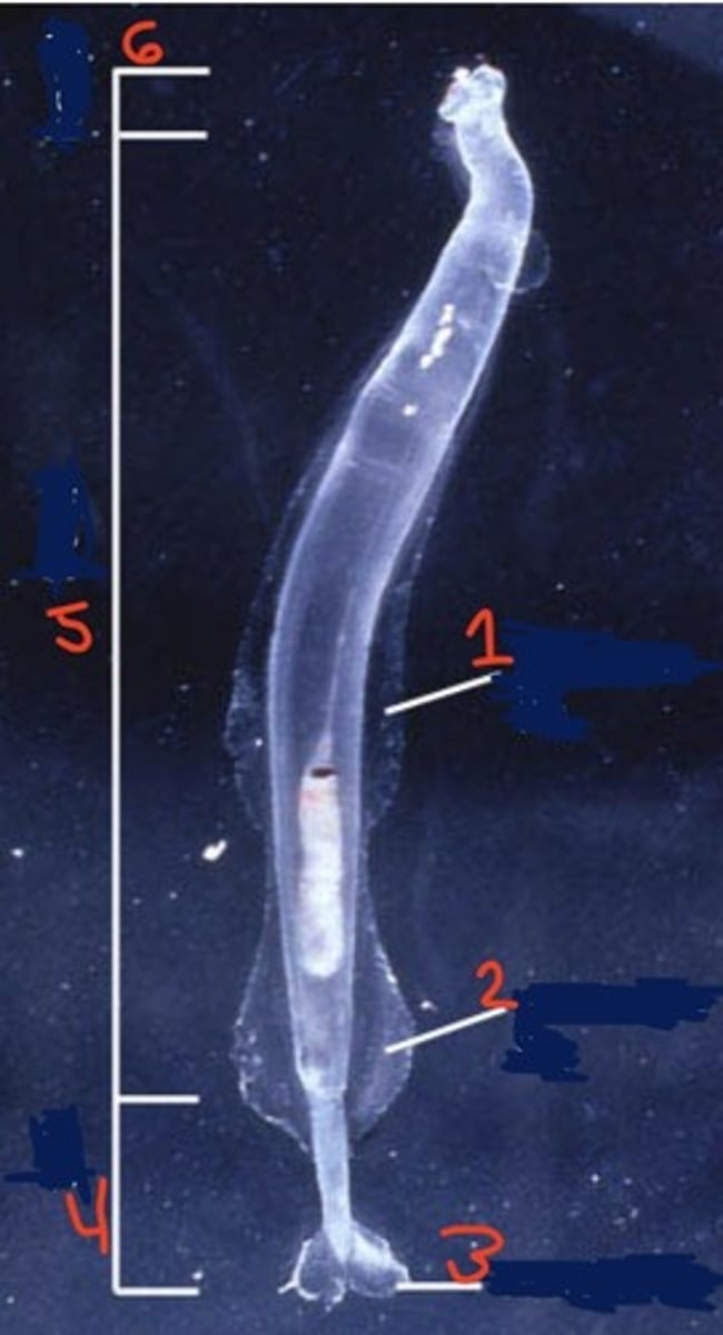 <p>what is 2?</p>