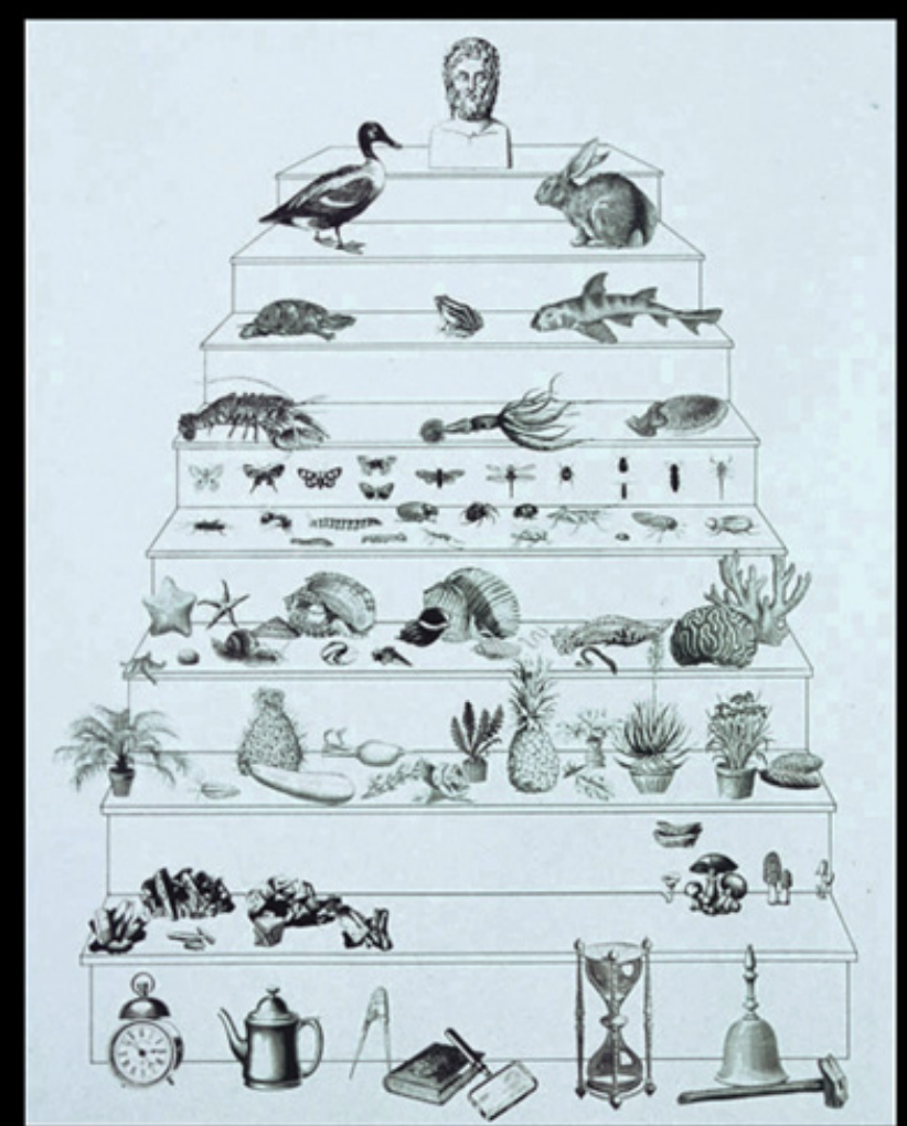 <p>Each specieis if formed individually with its own purpose and place in nature and where no species evolves into a new species</p>