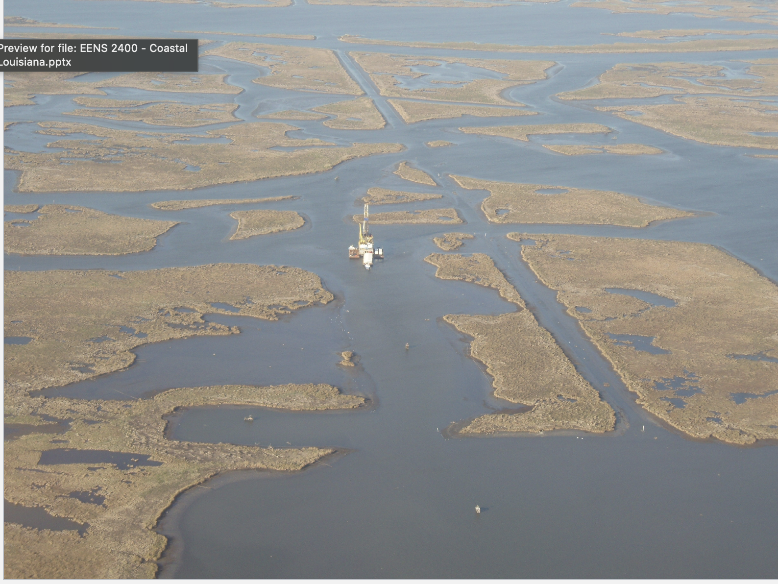 <p>what is this showing about wetlands? non climatic cause</p>