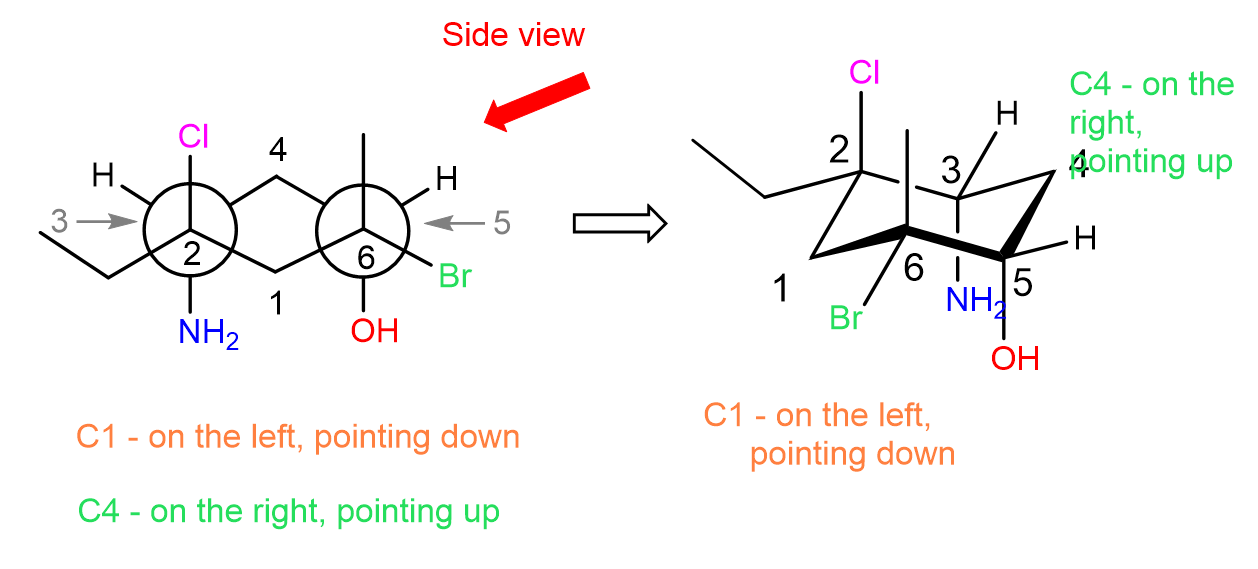 <p><strong>☆ how do you use chair, Newman, and wedge-dash drawings together?</strong></p>