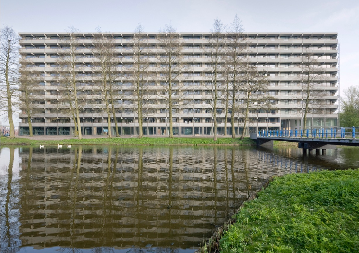 term image