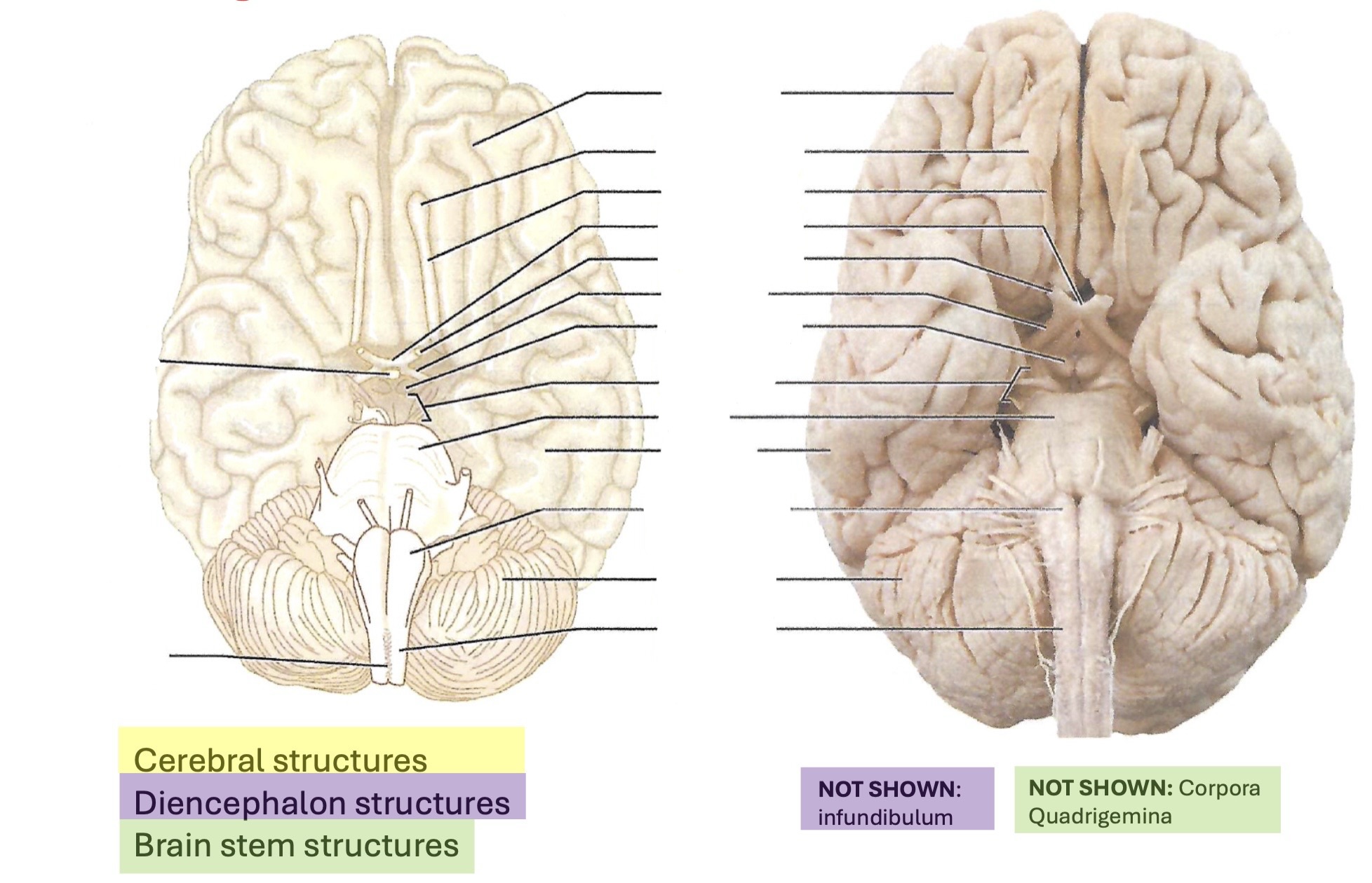 <p><a target="_blank" rel="noopener noreferrer nofollow" class="link" href="https://assets.knowt.com/user-attachments/dbdc8be6-4b61-4310-a4b3-87006a1ae191.jpg" data-prevent-progress="true">https://assets.knowt.com/user-attachments/dbdc8be6-4b61-4310-a4b3-87006a1ae191.jpg</a></p>
