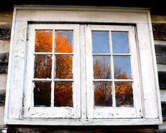 <p>das Fenster</p>
