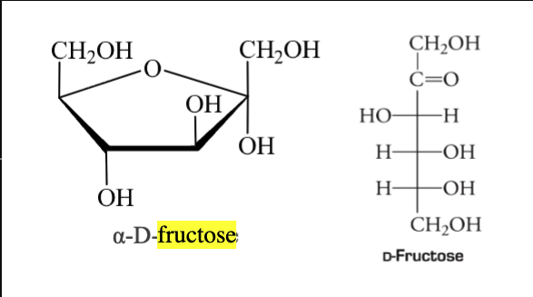 <ul><li><p>Most important ketohexose</p></li><li><p>Known as levulose/fruit sugar due to being the sweetest monosaccharides and use as sweetener</p></li></ul><p></p>