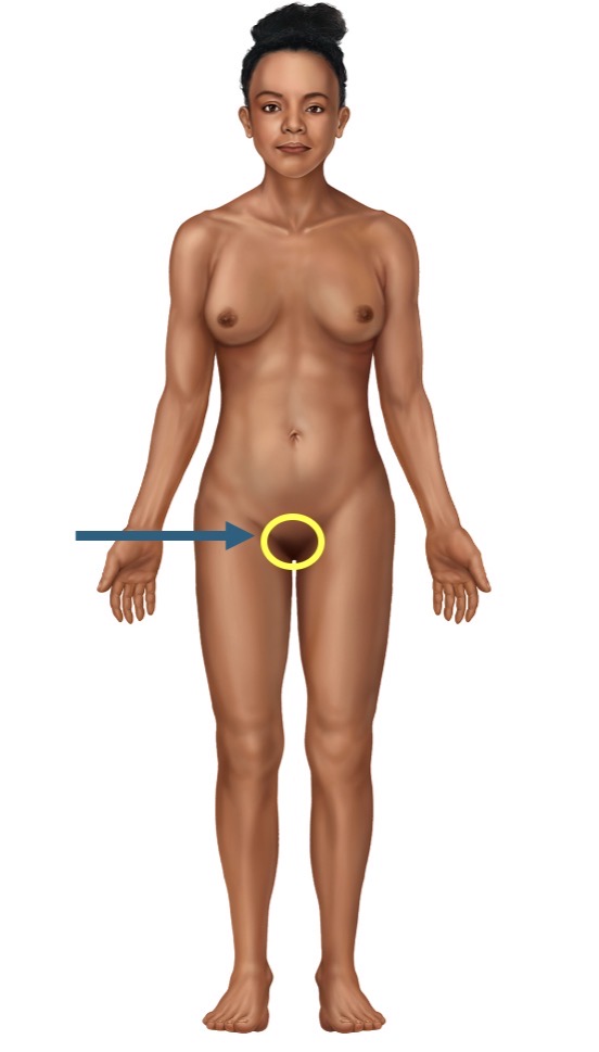 <p>Name the body part or region</p>