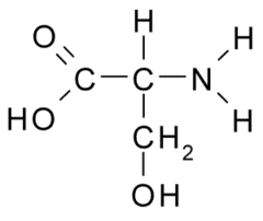 <p>(Ser, S) Neutral-polar, hydrophilic</p>