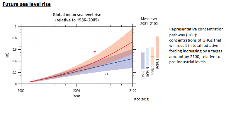 <p>Projections use concentration of greenhouse gasses</p><p>Lowest scenario=0.2-0.4m rise</p><p>Highest scenario=0.7-1m rise</p>