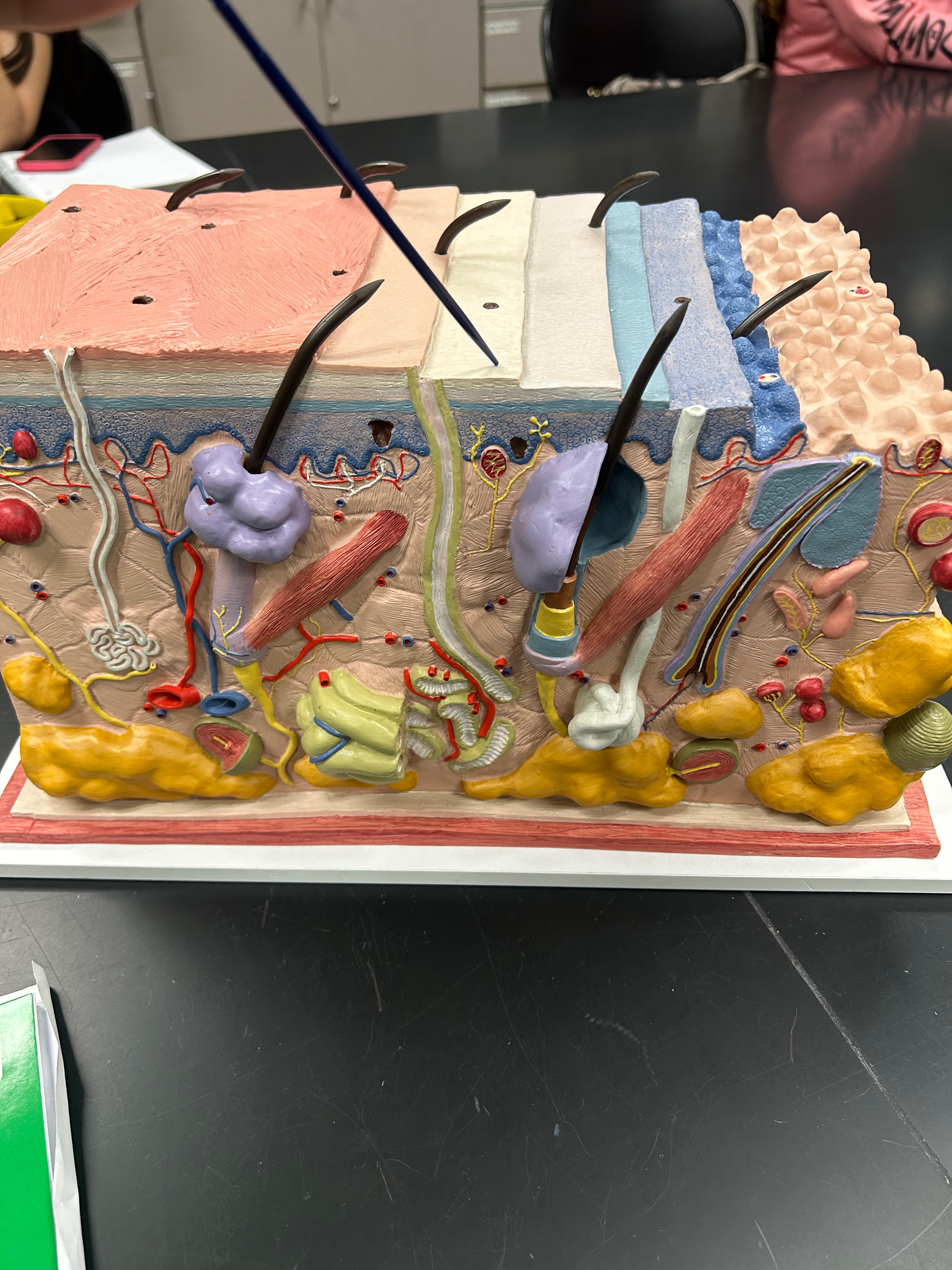 <p>Identify Layer</p>