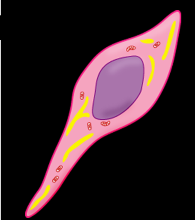 <p>Name this</p>