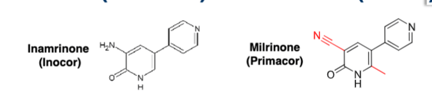 <p>• PDE3 inhibitor</p><p>• Increases cAMP concentrations which facilitates Ca2+ uptake in SR which can increase muscle contraction through G protein signal transduction pathways </p><p>• Its nitrile group binds to the Zn2+ and competes with cAMP.for PDE3 reaction</p><p>• Milrinone has a MOA similar to inamrinone but is 10 fold more potent </p>
