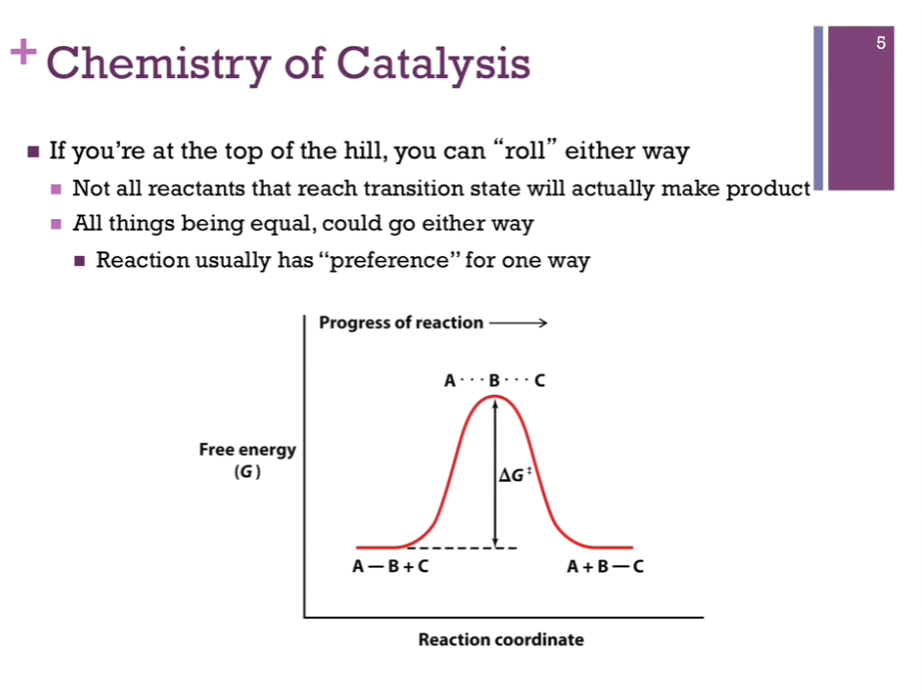 <p>If you are at the top of the hill, our transition state, we could easily roll either way down the side of that hill. We can reach that transition state (unstable) and instead of forming product, we could slide down the other way and go back to reactants!</p><p>In this idealized case (see left!), the energy of our reactants AND product is the same! (deltaG = 0)! There is no preference to go one way or the other; this rarely happens. Usually, a reaction favors either products or reactants. </p>