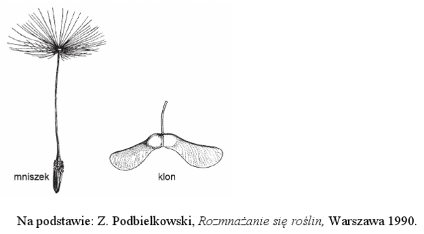<p>w jaki sposób rozprzestrzeniają się owoce mniszka i klonu oraz podaj na czym polega przystosowanie ich budowy do tego sposobu rozsiewania</p>
