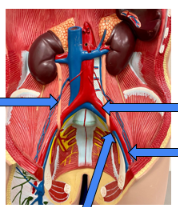 <p>Top right arrow </p>