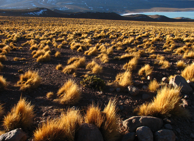 <p>Where Is This?</p>