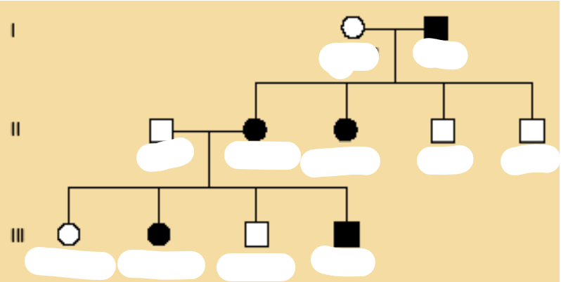 <p>Koks čia paveldėjimas</p>