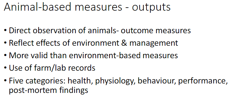 <p><strong>Assessment Basis</strong><br> Direct <strong>observation of animals</strong> – <strong>outcome measures</strong></p><p><strong>Key Characteristics</strong><br> Reflect effects of <strong>environment</strong> and <strong>management</strong><br> More <strong>valid</strong> than environment-based measures<br> Include use of <strong>farm / lab records</strong></p><p><strong>Categories</strong><br> <strong>Health</strong>, <strong>physiology</strong>, <strong>behaviour</strong>, <strong>performance</strong>, <strong>post-mortem findings</strong></p>