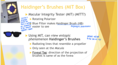 <p>Where are Haidinger's brushes seen?</p>