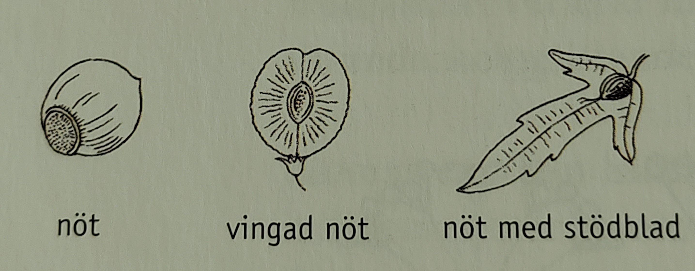 <p></p>