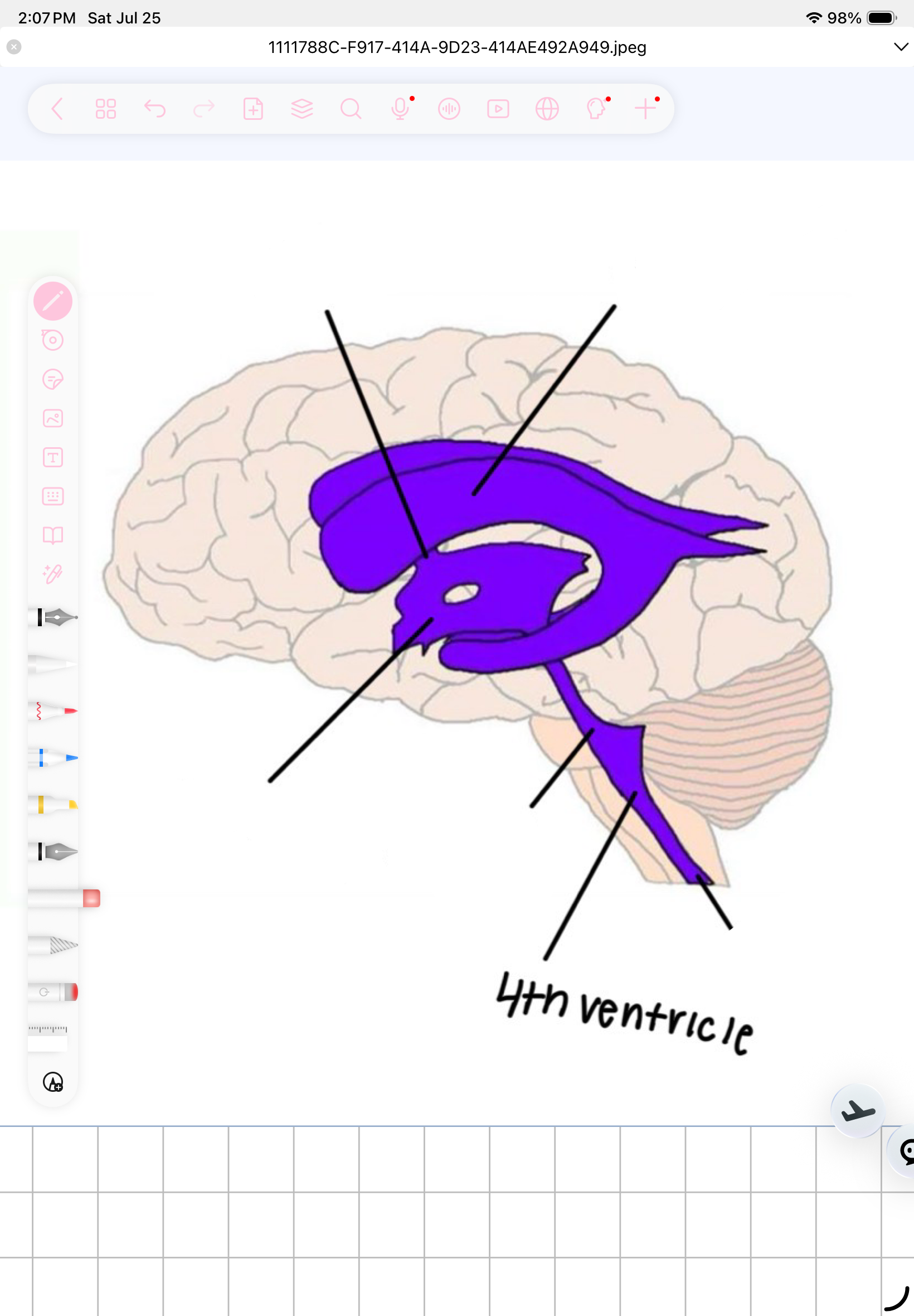 term image