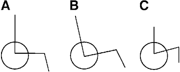 <p>Tilting the seat back anchors your pelvis securely against the backrest via gravity. </p><p>Keeps you from sliding forward.</p><p>Vital if you have limited core strength or poor sitting balance.</p>