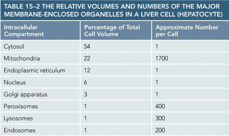 <p>Do not need to remember specific numbers. Just know generally which make up majority of cell</p>