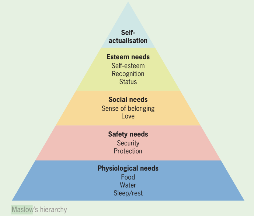 <ol><li><p>physiological needs</p></li><li><p>saftey needs</p></li><li><p>belogning and love needs</p></li><li><p>esteem needs</p></li><li><p>cogntiive needs</p></li><li><p>aethetic needs</p></li><li><p>transcendence</p></li><li><p>self actualisation</p></li></ol><p></p>