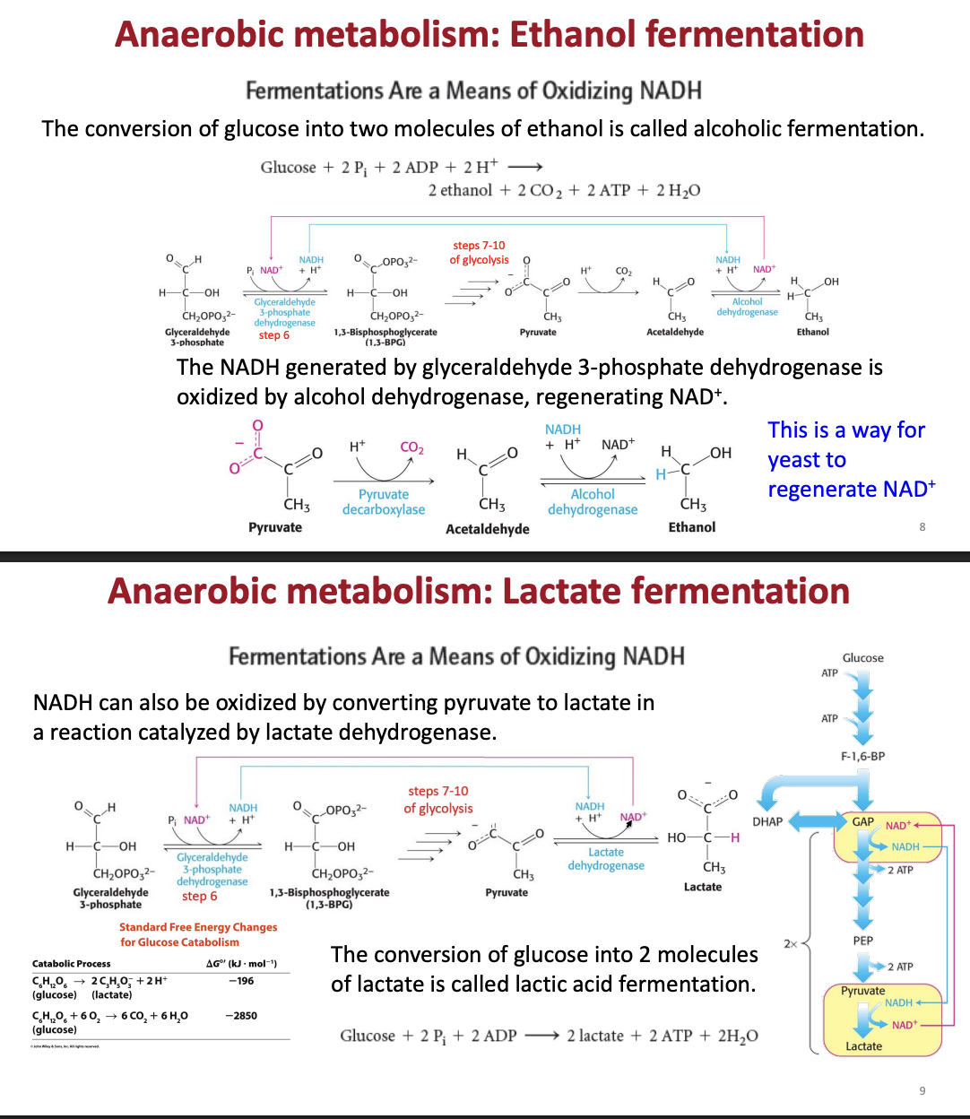 <img src="https://assets.knowt.com/user-attachments/81a22863-441c-4ec4-a86a-261ba0151a9c.png" data-width="100%" data-align="center"><p></p>