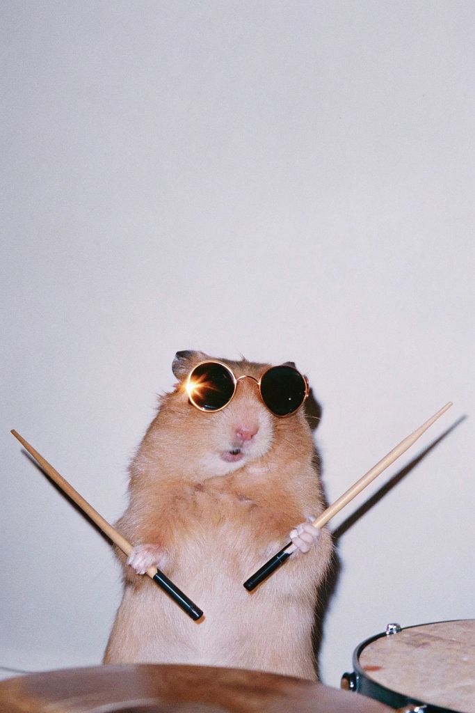 <p>play drums</p>