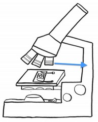 <p>Along with the base, used to support the microscope when carried</p>