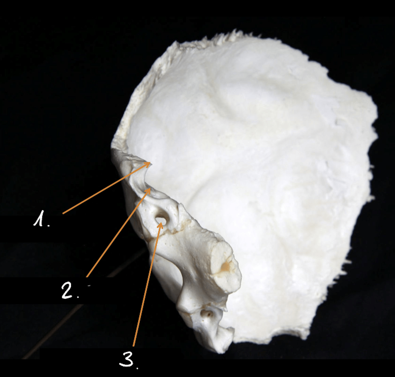 <p>1</p>