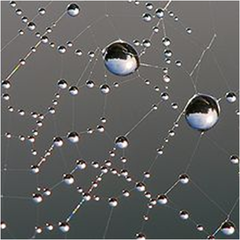 <p>When water sticks to a different surface</p>